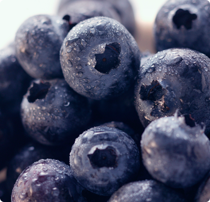 Berries
