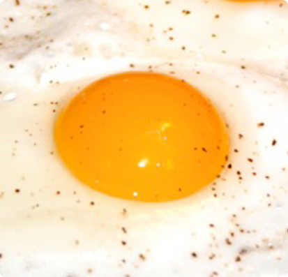 Egg
