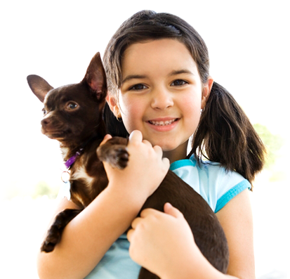 Reducing Allergens