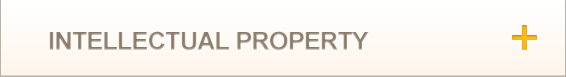 Intellectual Property
